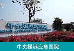 中央援港应急医院